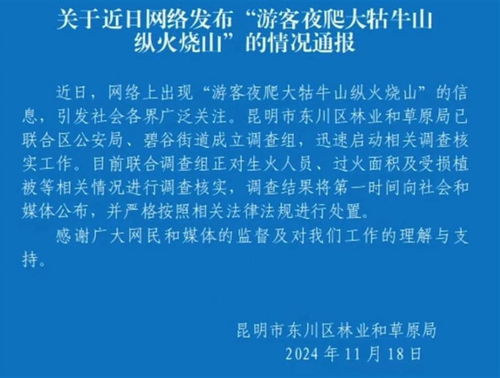 为什么《灵笼火种》突然下架？网友们猜测是什么原因导致了这一决定？