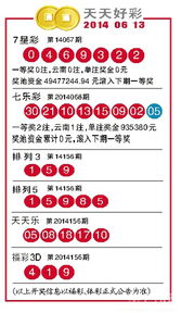 2024澳门天天开好彩大全69|实践验证解释落实_复古款.3.406